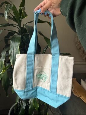 Trader Joe’s Mini Canvas Tote Bag in Blue NWT